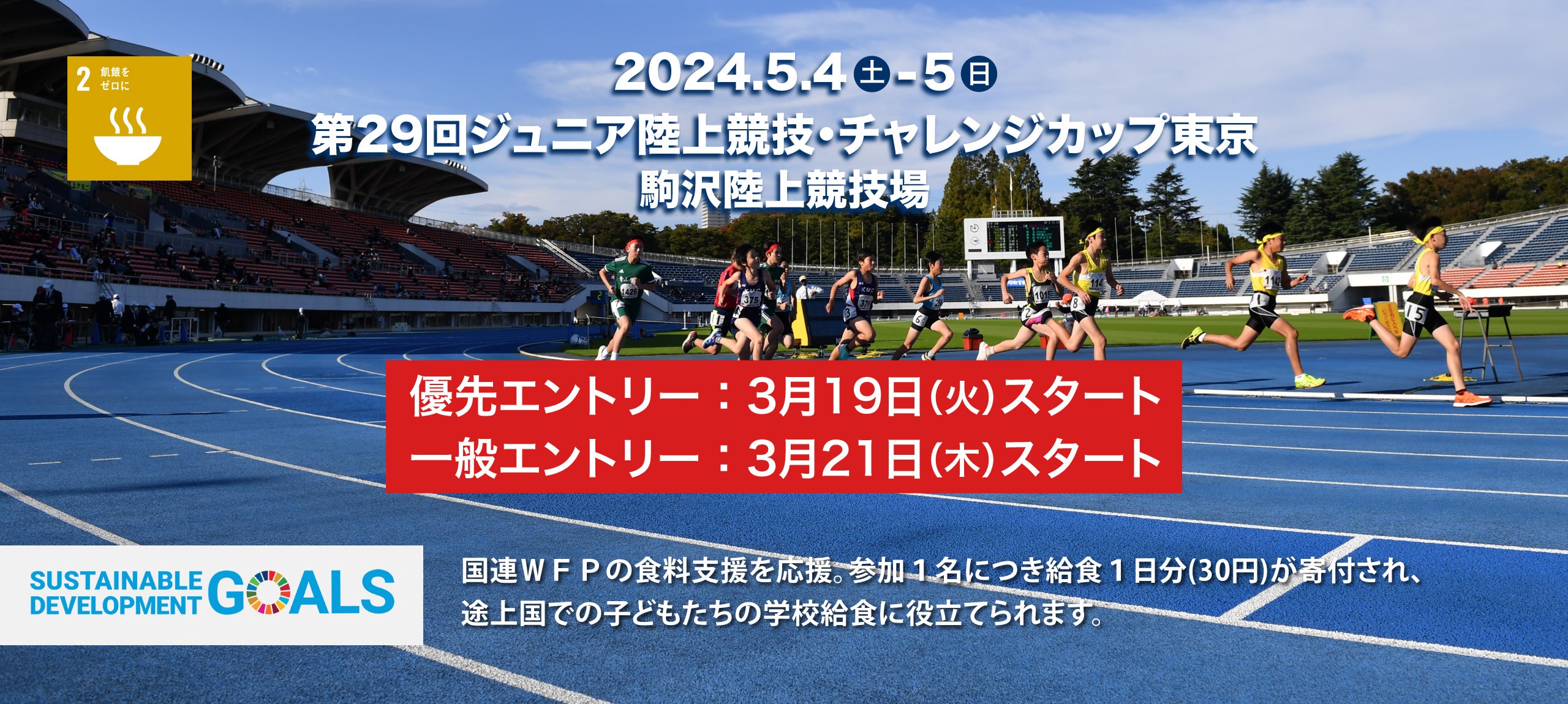 江戸川女子高等学校(B推薦一般) 5年間 - その他