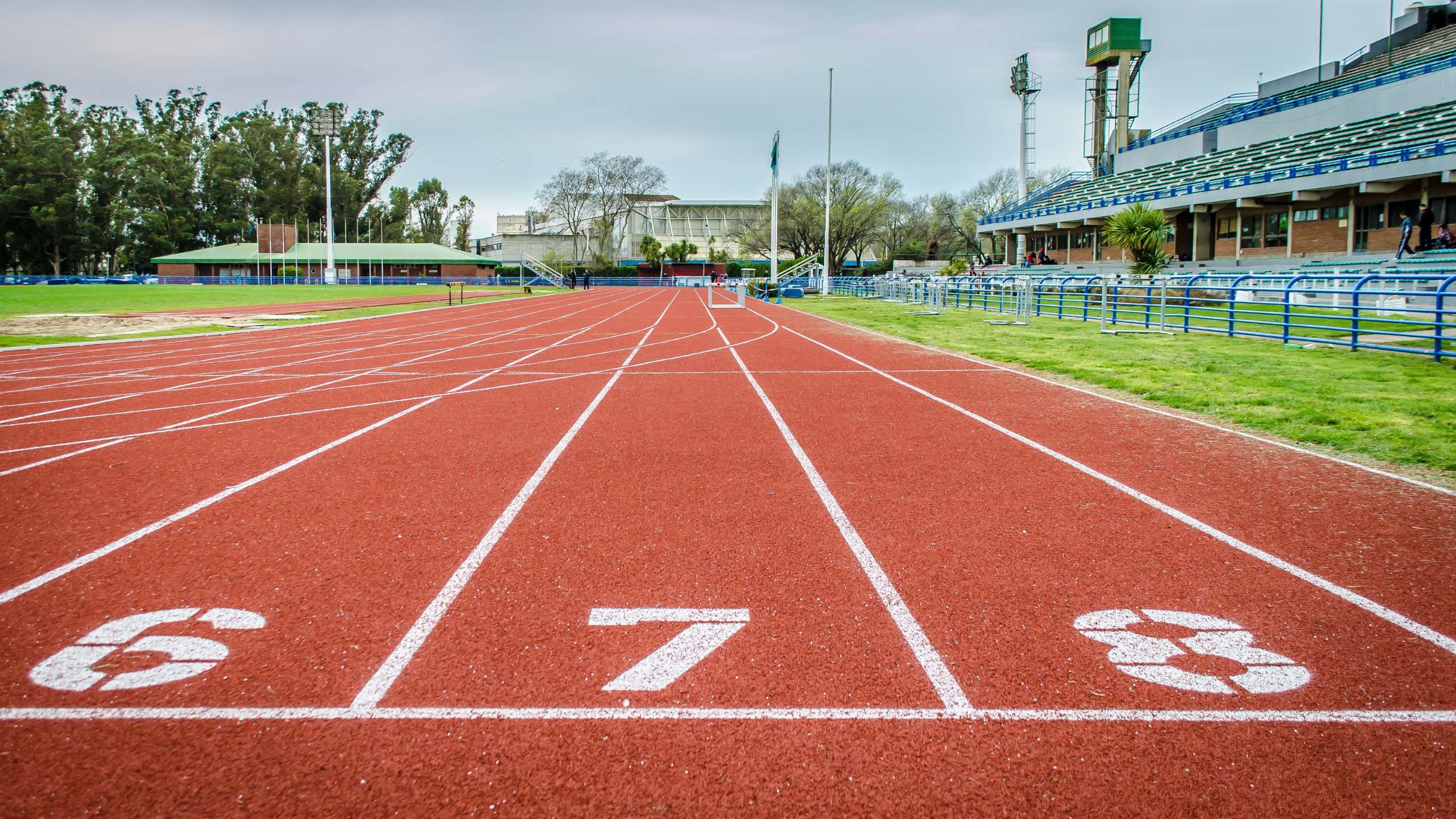 東京陸協小学生競技会-2025.6.1