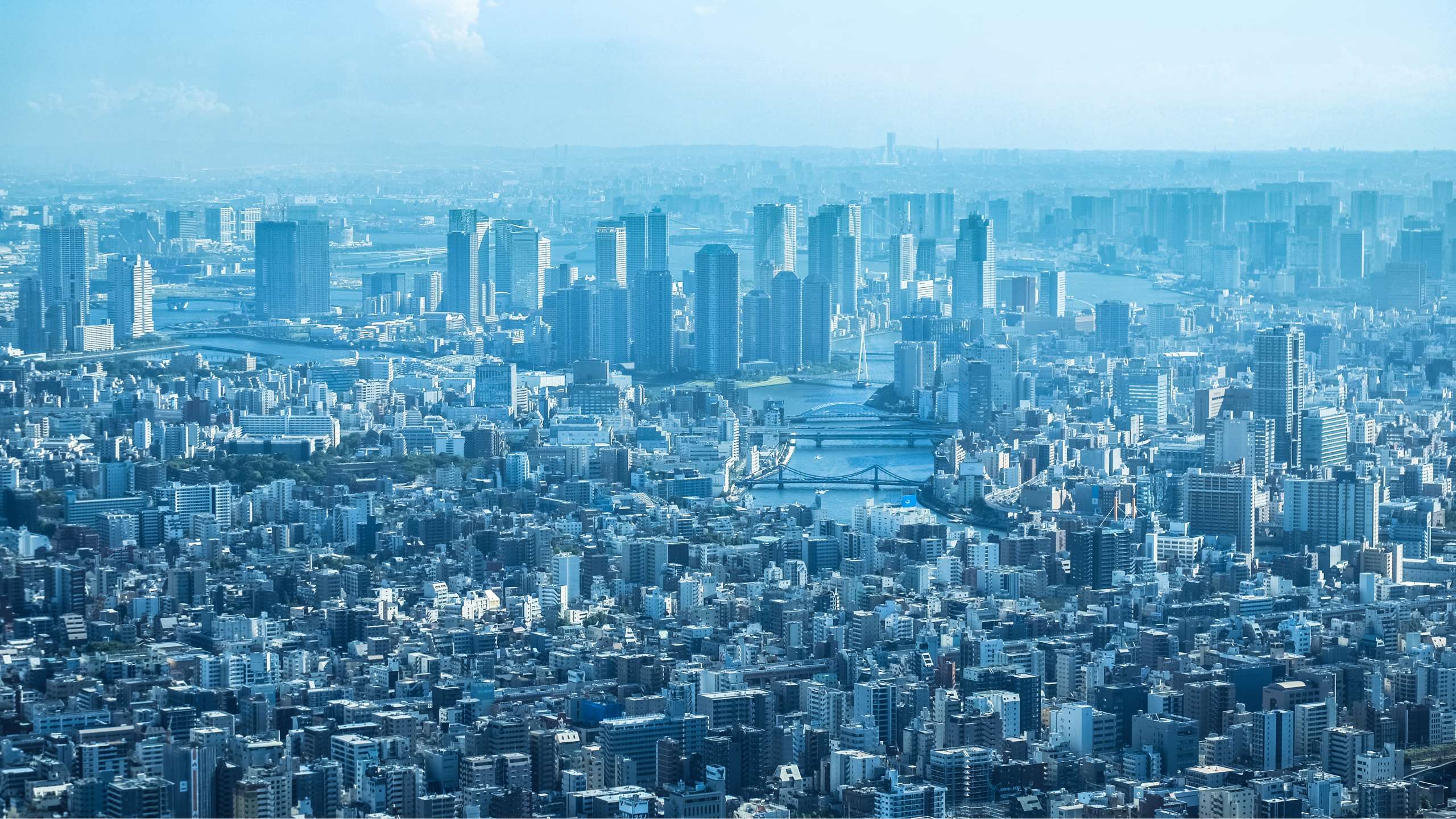 2025年度賛助会員募集について